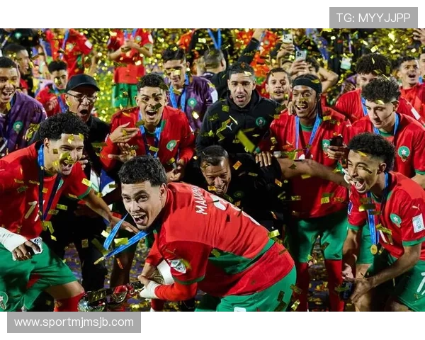 法国世界杯冠军的历史意义与对全球足球的推动作用 法国世界杯冠军的历史意义与对全球足球的推动作用