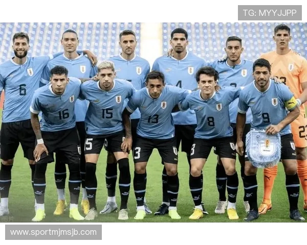 乌拉圭世界杯足球队阵容分析与明星球员深度剖析