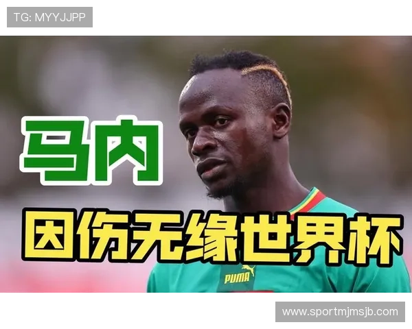 世界杯法国对塞内加尔比赛中VAR判罚实例及规则执行细节全面介绍 世界杯法国对塞内加尔比赛中VAR判罚实例及规则执行细节全面介绍