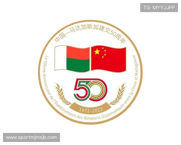 世界杯荷兰对日本比赛中国旗的设计元素与国家象征解读